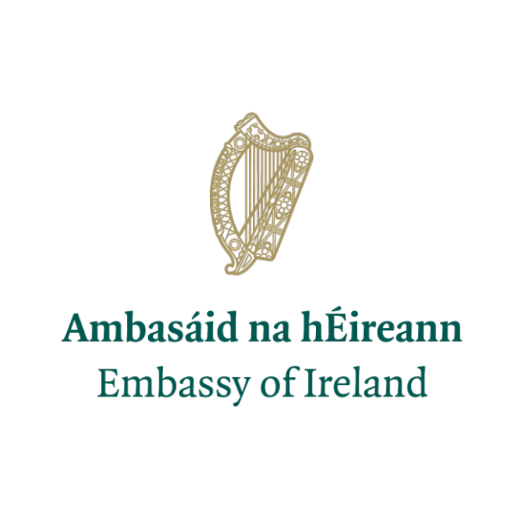 embassy of ireland new