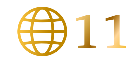 language 11